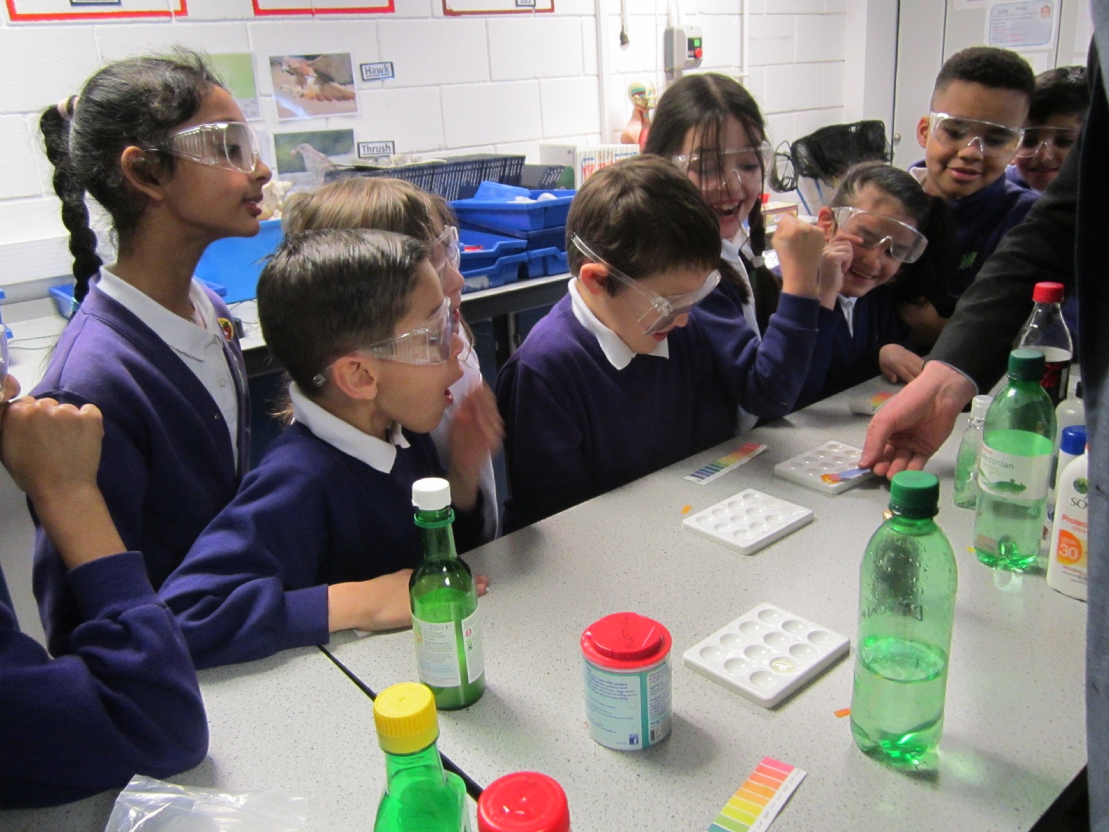 Putnoe Primary School February 2017 Science Workshop
